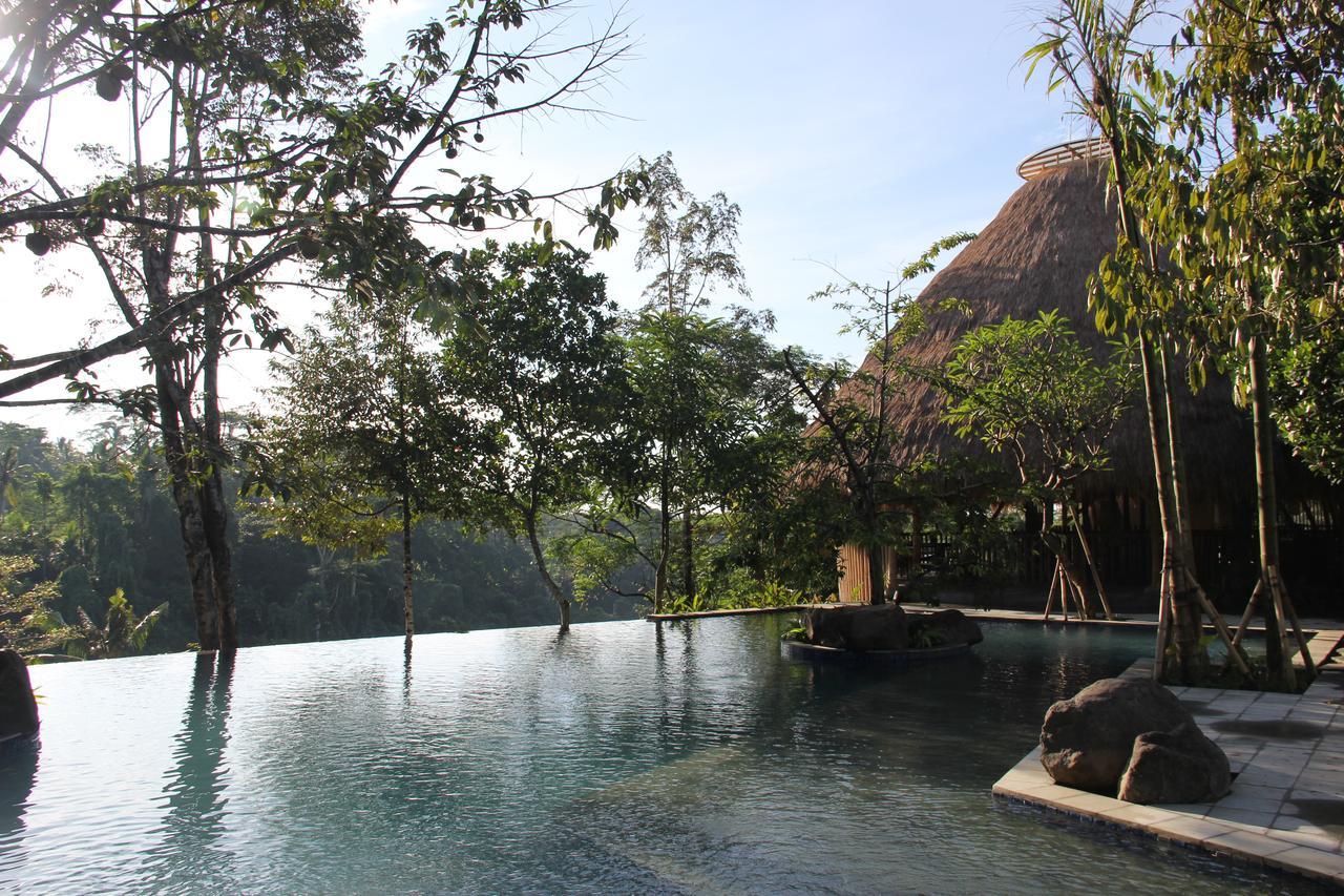 เตชาปรานา รีสอร์ต แอนด์ สปา Hotel อูบุด ภายนอก รูปภาพ The resort's swimming pool