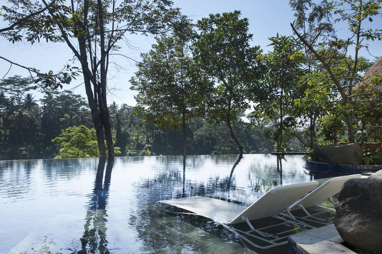 เตชาปรานา รีสอร์ต แอนด์ สปา Hotel อูบุด ภายนอก รูปภาพ The flooded park