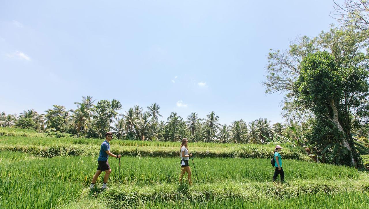 เตชาปรานา รีสอร์ต แอนด์ สปา Hotel อูบุด ภายนอก รูปภาพ Trekking in Bali